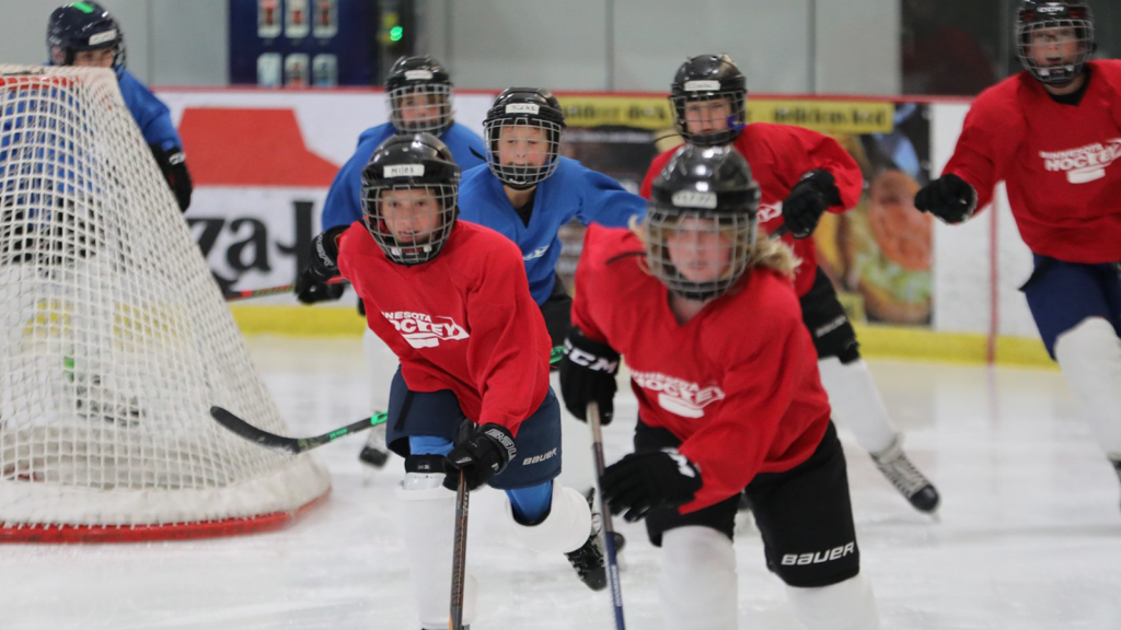 boys and girls playing hockey