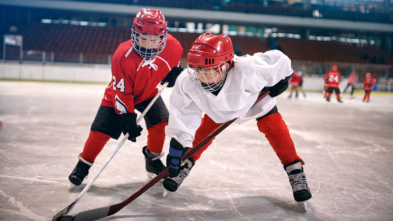 2023 Eagles Hockey Boys and Girls Team Rosters Now Available featured image